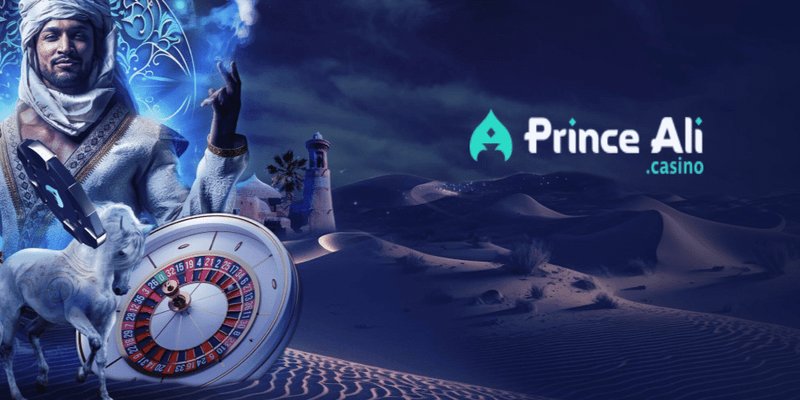 L'hysterie de la Crypto-Monnie : la nouvelle tendance en ligne en France